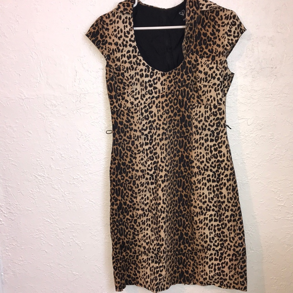 Windsor leopard print short sleeve collar mini dress for women